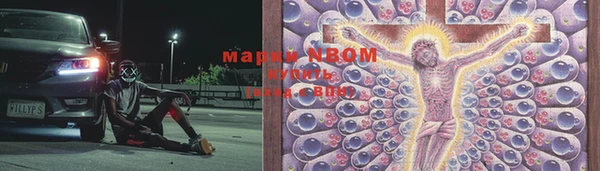 крисы Богородск