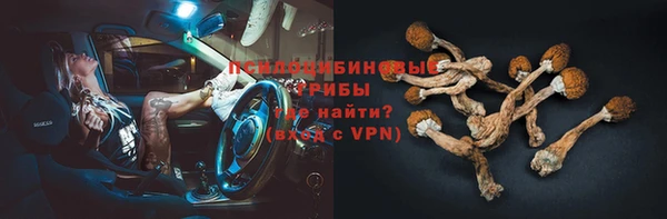 крисы Богородск