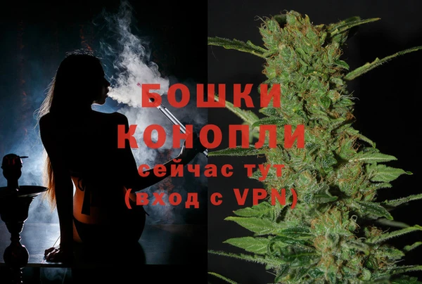 крисы Богородск