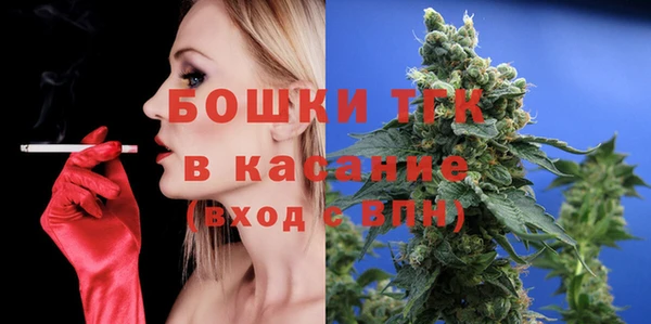 крисы Богородск