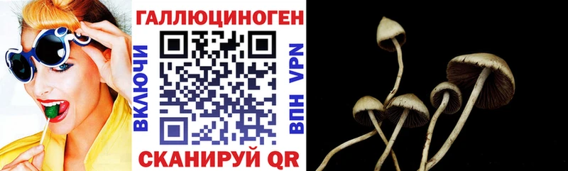 Галлюциногенные грибы Magic Shrooms  Верхний Тагил 